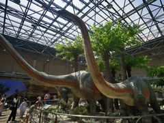 -国家自然博物馆