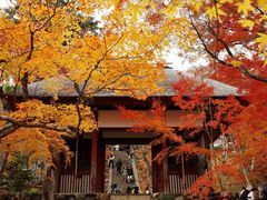 -常寂光寺