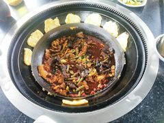 -洪湖家庭农场·团建·露营·会议