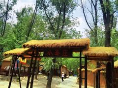 -滕州微山湖红荷湿地景区