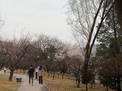 -玲珑塔公园