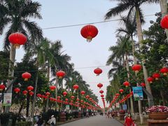 -万绿园
