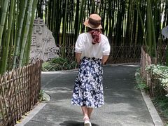 -陈家山荷花公园