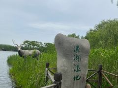 -溱湖国家湿地公园