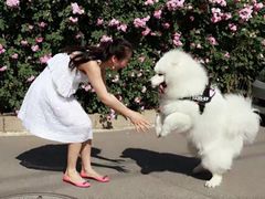 -多卡布奇宠物生活馆(上林世家店)