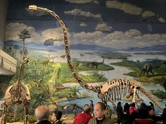 -自贡恐龙博物馆
