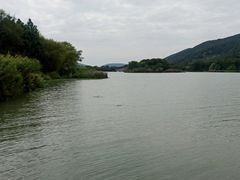 -长广溪湿地公园