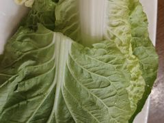 -菌乡缘·野生菌蒸汽鱼火锅(江边夜市店)