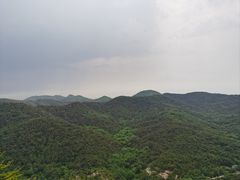 -金龙寺国家森林公园