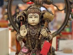 -英迪拉·甘地国际机场