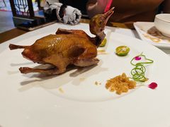 -大鸽饭(岗顶店)