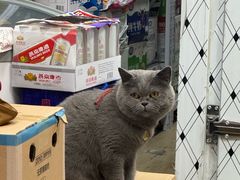 -北京稻香村(第三店)