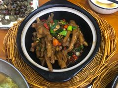 -全乐鱼馆·淳牌有机鱼直营店