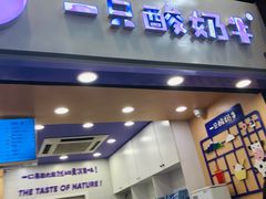 门面-一只酸奶牛(八一路店)