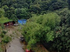 -鲤鱼塘农家山庄