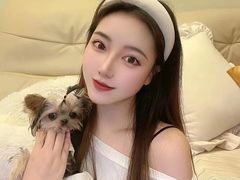 -萌宠之家·腊肠犬·马尔泰·小体犬舍