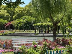 -上海鲜花港