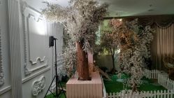 -韩国童感TOUCH PHOTO儿童摄影(朝阳分店)