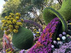 -杭州植物园