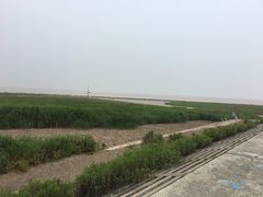 -南汇嘴观海公园