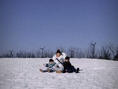 -绿野森林乐园冰雪季