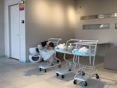 -怪兽屋·羊驼·猫咖·狗咖(俊华广场店)