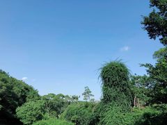 -狐尾山公园