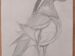 -BRAVO 赞·美艺术中心·系统美术·书法·艺考(双井校区)