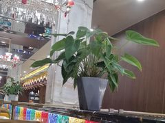 -巴依老爷新疆美食(常营店)