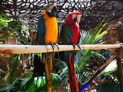 -杭州开元森泊度假乐园