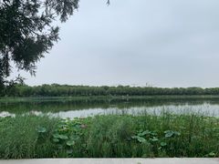 -素心小筑(后沙裕镇店)