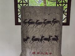 -上海醉白池公园