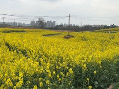 -三圣花乡旅游区