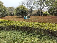 -昆山城市生态森林公园