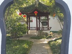 -上海醉白池公园