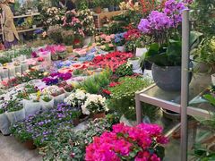-双季花艺园艺市场(浦东店)