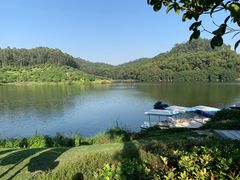 -东莞塘厦三正半山温泉酒店·汉宫中餐厅