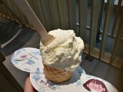 -野人先生现做冰淇淋(西安赛格店)