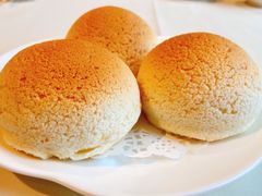 雪顶雄峰-利苑酒家(金宝店)