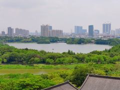 -海珠湖公园