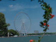 -无锡蠡湖国家湿地公园-蠡园