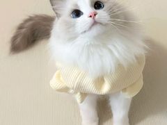 -荔康动物医院(康王北路店)