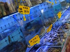 水产区-日照大牌檔•小船海鲜(万平口店)
