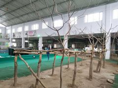 -哈尔滨北方森林动物园