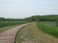 -昆山城市生态森林公园