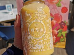 -野萃山·潮汕厚果汁(十亩地店)