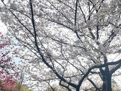 -杭州湖滨银泰in77