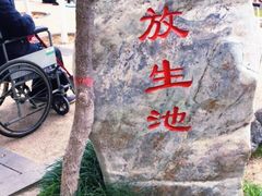 -莲湖公园