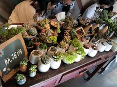 -时光花园(白鹭洲店)