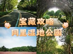 -同里国家湿地公园